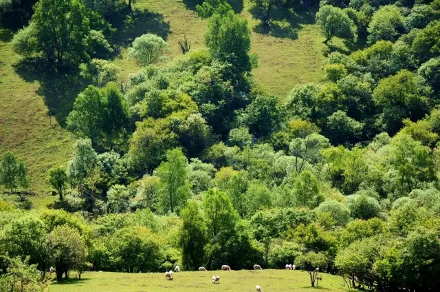 腾博汇游戏官网 - 诚信为本,专业服务!