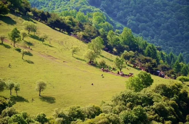 腾博汇游戏官网 - 诚信为本,专业服务!