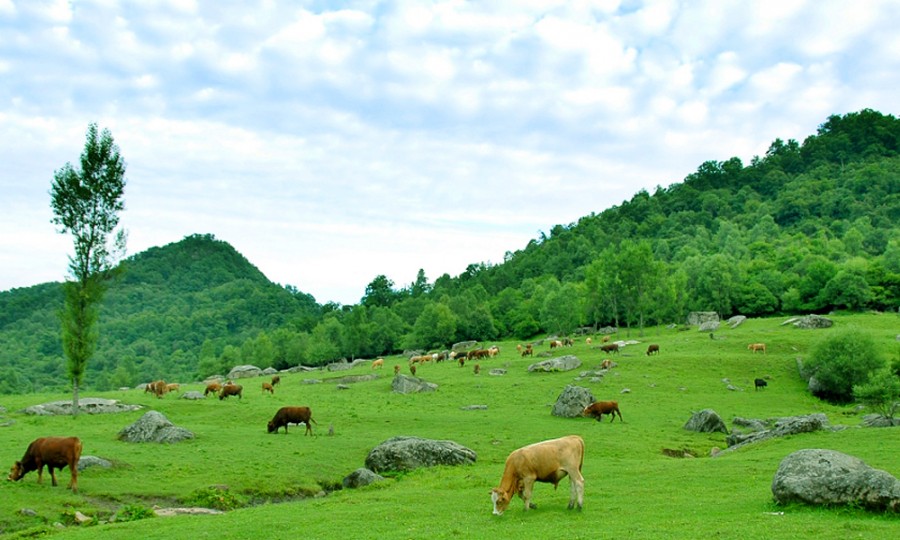 腾博汇游戏官网 - 诚信为本,专业服务!