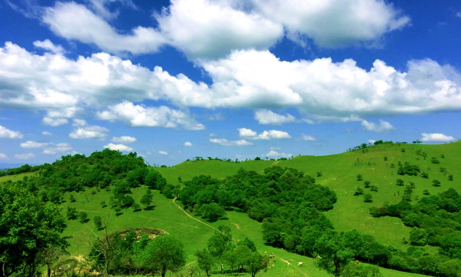 腾博汇游戏官网 - 诚信为本,专业服务!