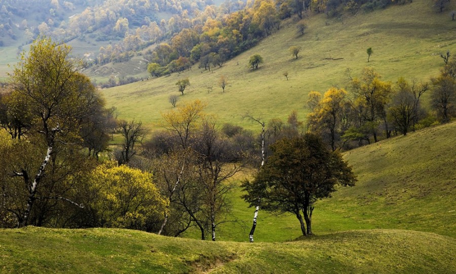 腾博汇游戏官网 - 诚信为本,专业服务!