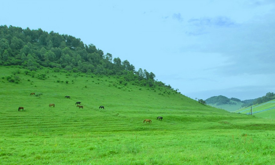 腾博汇游戏官网 - 诚信为本,专业服务!