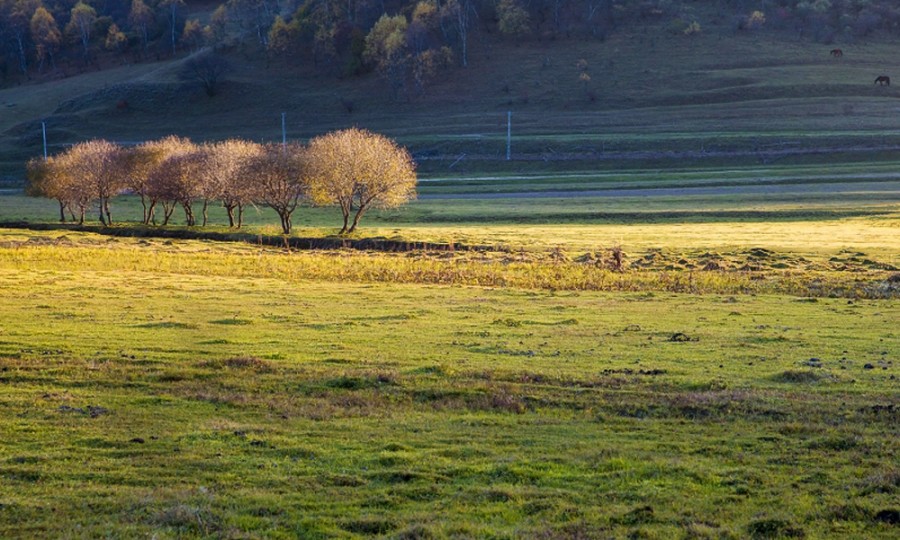 腾博汇游戏官网 - 诚信为本,专业服务!
