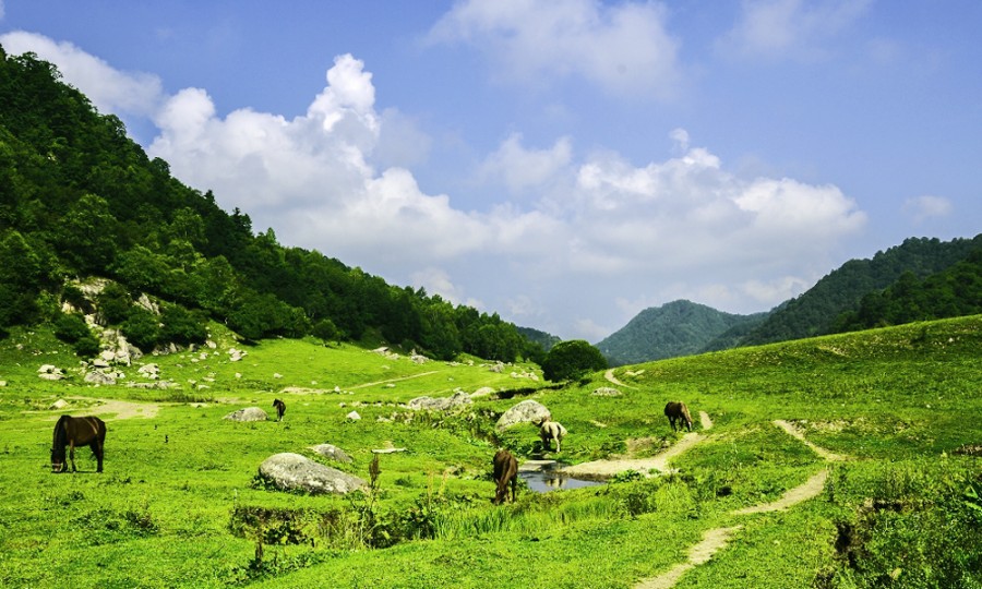 腾博汇游戏官网 - 诚信为本,专业服务!