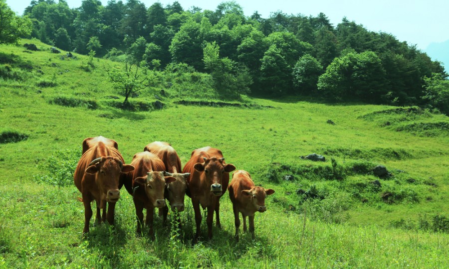 腾博汇游戏官网 - 诚信为本,专业服务!