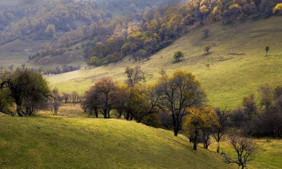 腾博汇游戏官网 - 诚信为本,专业服务!