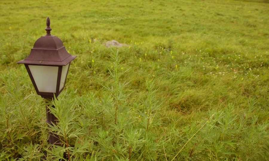 腾博汇游戏官网 - 诚信为本,专业服务!