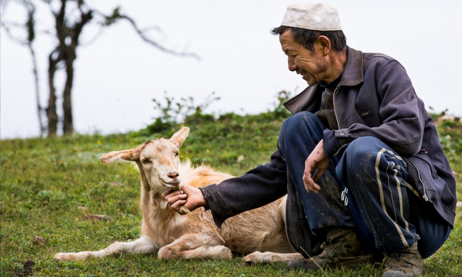腾博汇游戏官网 - 诚信为本,专业服务!