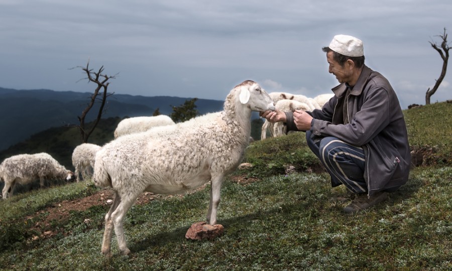腾博汇游戏官网 - 诚信为本,专业服务!