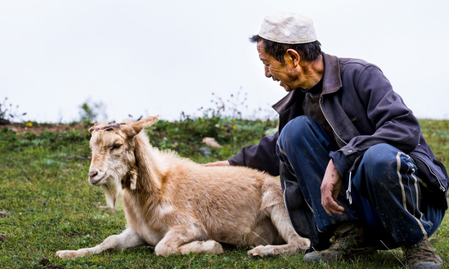 腾博汇游戏官网 - 诚信为本,专业服务!