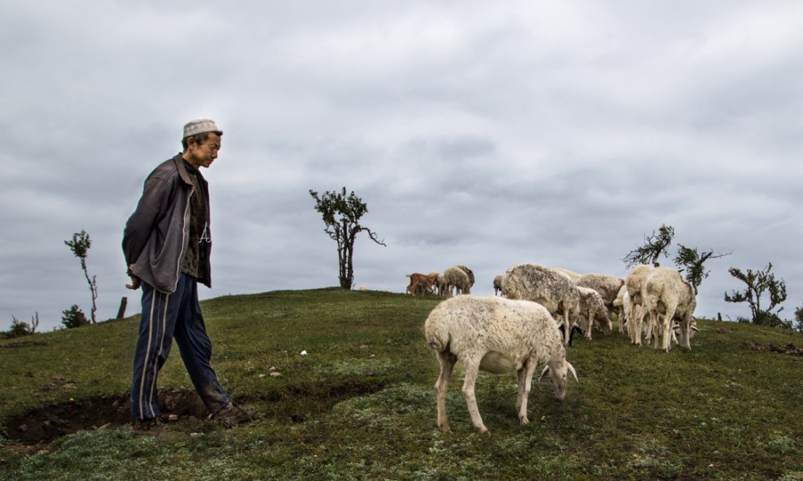腾博汇游戏官网 - 诚信为本,专业服务!
