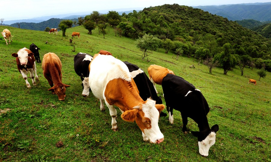 腾博汇游戏官网 - 诚信为本,专业服务!