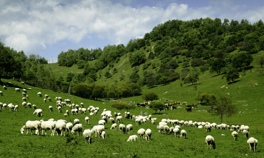 腾博汇游戏官网 - 诚信为本,专业服务!