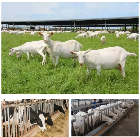 腾博汇游戏官网 - 诚信为本,专业服务!