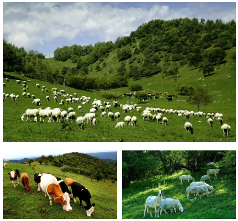 腾博汇游戏官网 - 诚信为本,专业服务!