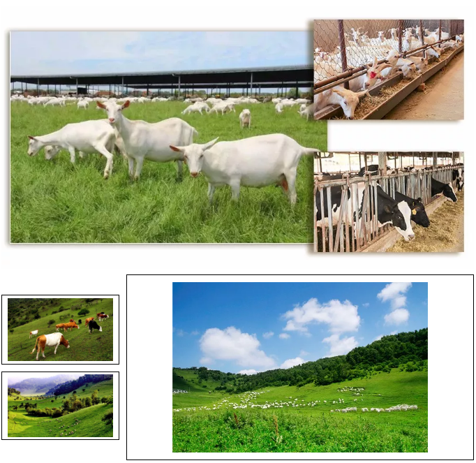 腾博汇游戏官网 - 诚信为本,专业服务!