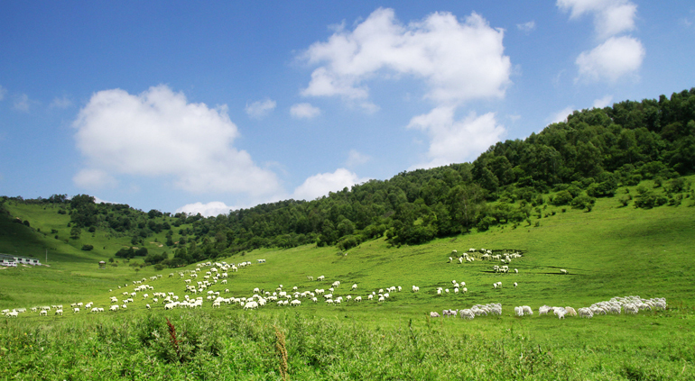 �ڲ�����Ϸ���� - ����Ϊ��,רҵ����!