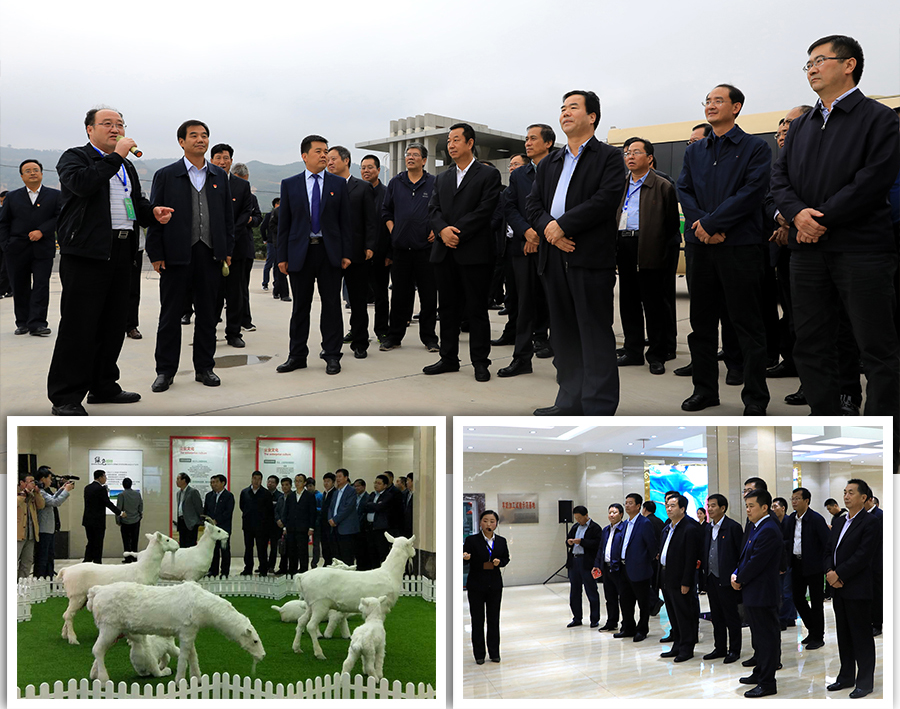 腾博汇游戏官网 - 诚信为本,专业服务!