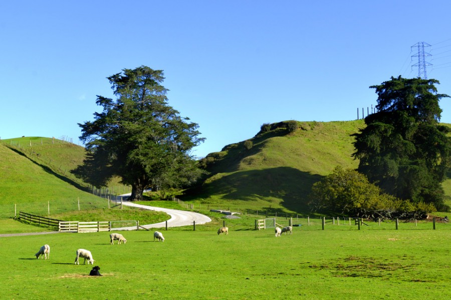 腾博汇游戏官网 - 诚信为本,专业服务!