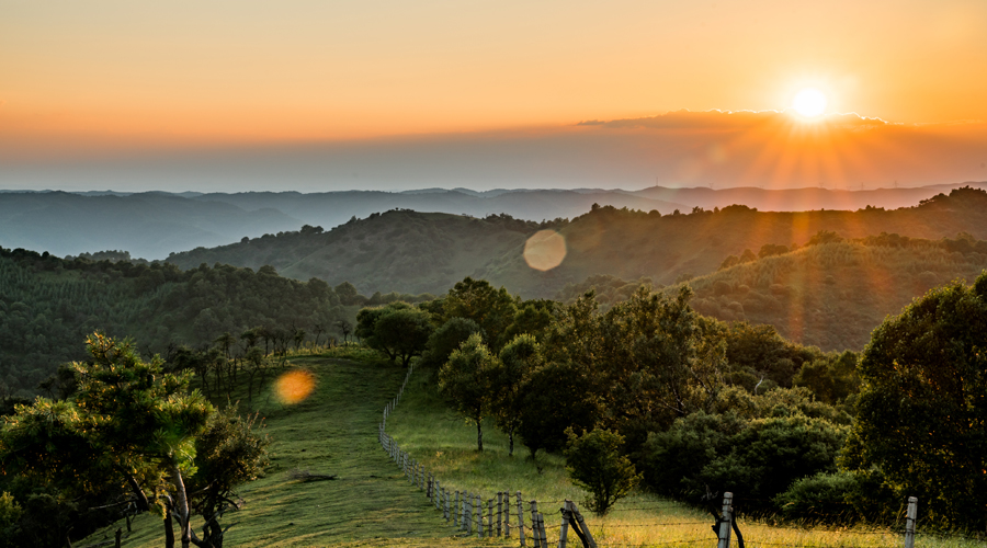 腾博汇游戏官网 - 诚信为本,专业服务!