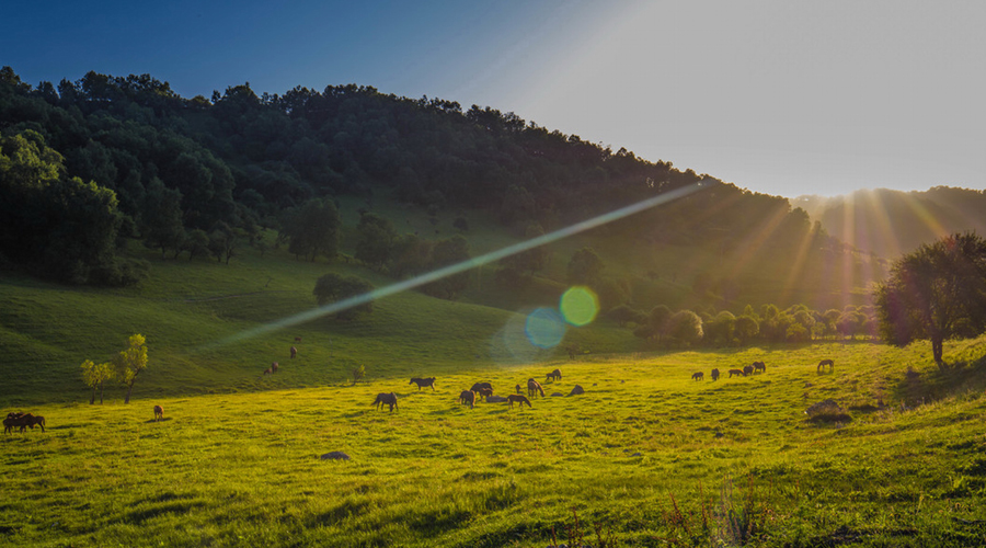 腾博汇游戏官网 - 诚信为本,专业服务!