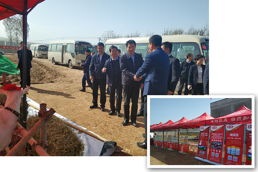 腾博汇游戏官网 - 诚信为本,专业服务!