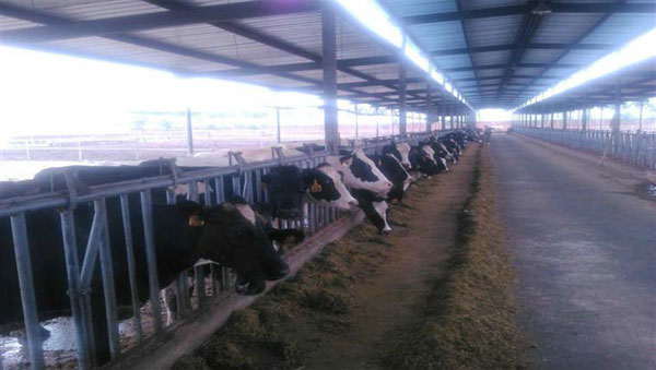 腾博汇游戏官网 - 诚信为本,专业服务!