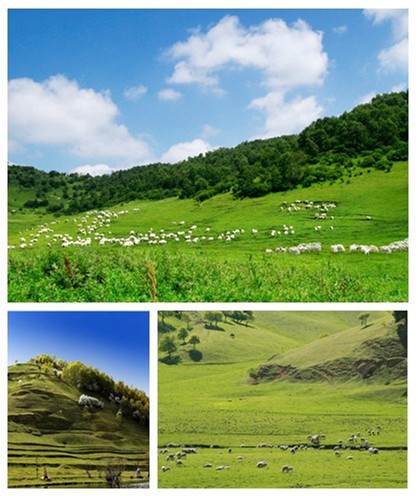 腾博汇游戏官网 - 诚信为本,专业服务!