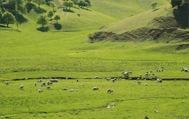 腾博汇游戏官网 - 诚信为本,专业服务!