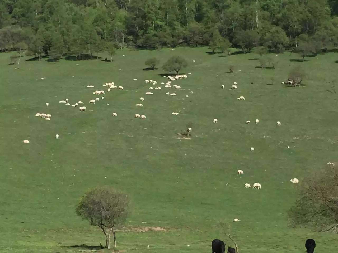 腾博汇游戏官网 - 诚信为本,专业服务!