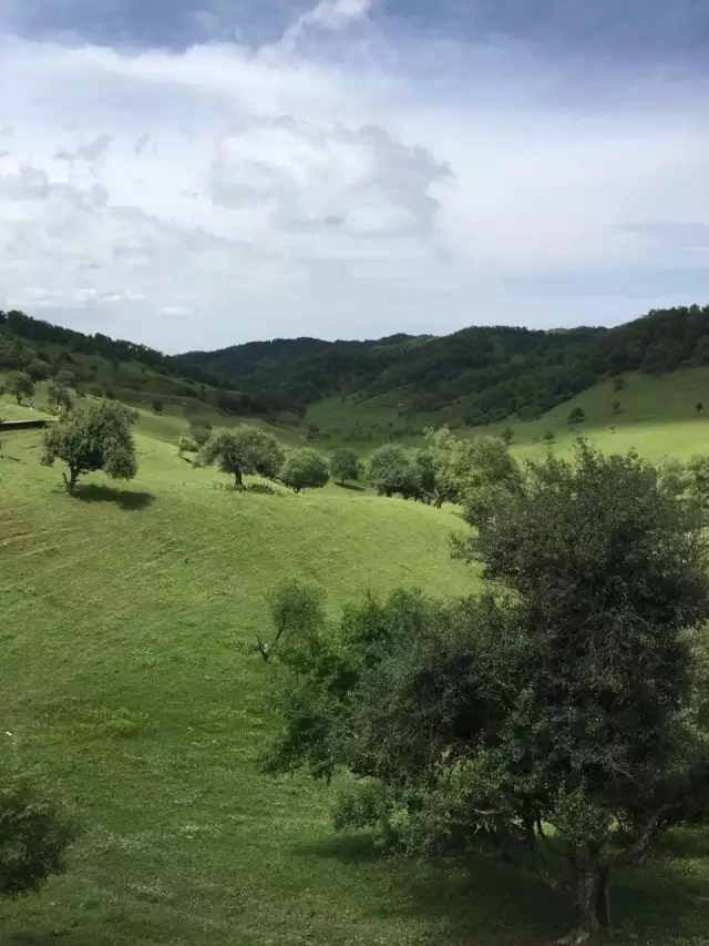 腾博汇游戏官网 - 诚信为本,专业服务!