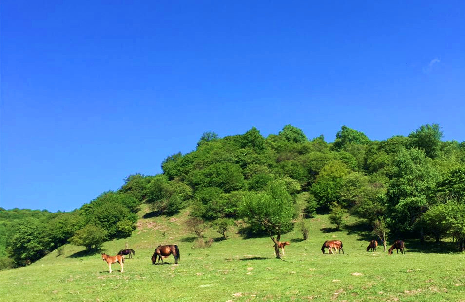 腾博汇游戏官网 - 诚信为本,专业服务!