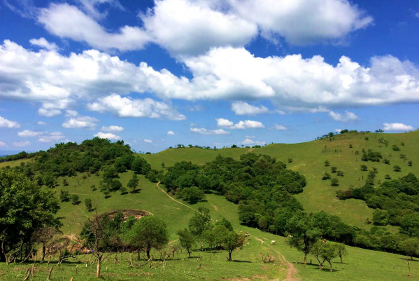 腾博汇游戏官网 - 诚信为本,专业服务!