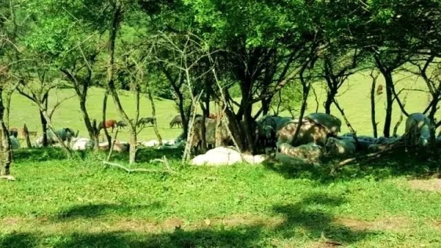 腾博汇游戏官网 - 诚信为本,专业服务!