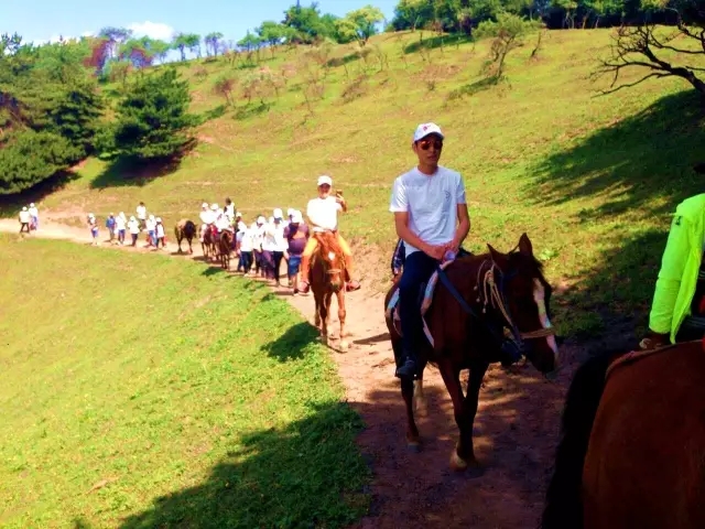 腾博汇游戏官网 - 诚信为本,专业服务!