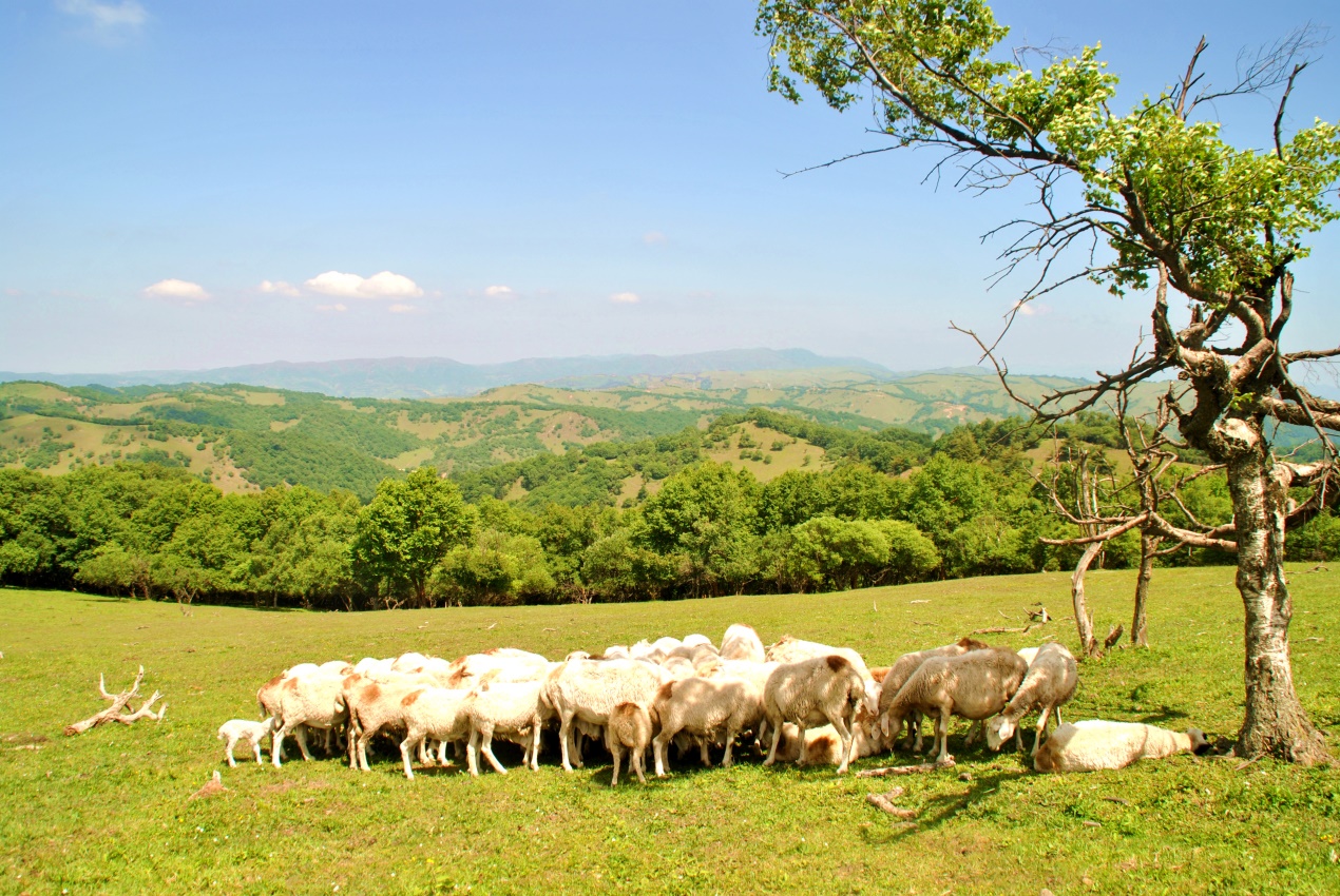 腾博汇游戏官网 - 诚信为本,专业服务!
