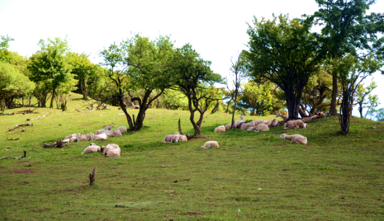 腾博汇游戏官网 - 诚信为本,专业服务!