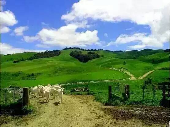 腾博汇游戏官网 - 诚信为本,专业服务!