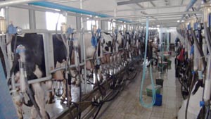 �ڲ�����Ϸ���� - ����Ϊ��,רҵ����!