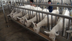 �ڲ�����Ϸ���� - ����Ϊ��,רҵ����!