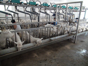 �ڲ�����Ϸ���� - ����Ϊ��,רҵ����!