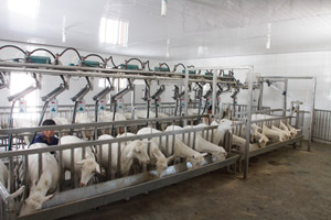 �ڲ�����Ϸ���� - ����Ϊ��,רҵ����!