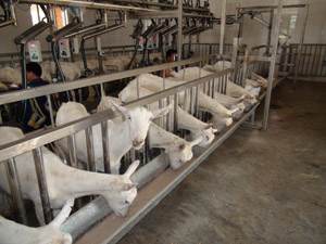 �ڲ�����Ϸ���� - ����Ϊ��,רҵ����!