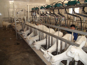 �ڲ�����Ϸ���� - ����Ϊ��,רҵ����!