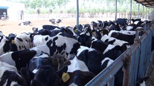 �ڲ�����Ϸ���� - ����Ϊ��,רҵ����!