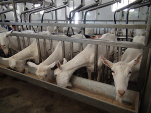 �ڲ�����Ϸ���� - ����Ϊ��,רҵ����!