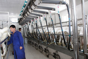 �ڲ�����Ϸ���� - ����Ϊ��,רҵ����!