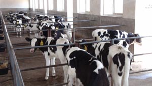 �ڲ�����Ϸ���� - ����Ϊ��,רҵ����!